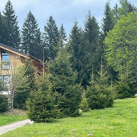 Chalet Bergheimat Wagrain Extérieur photo
